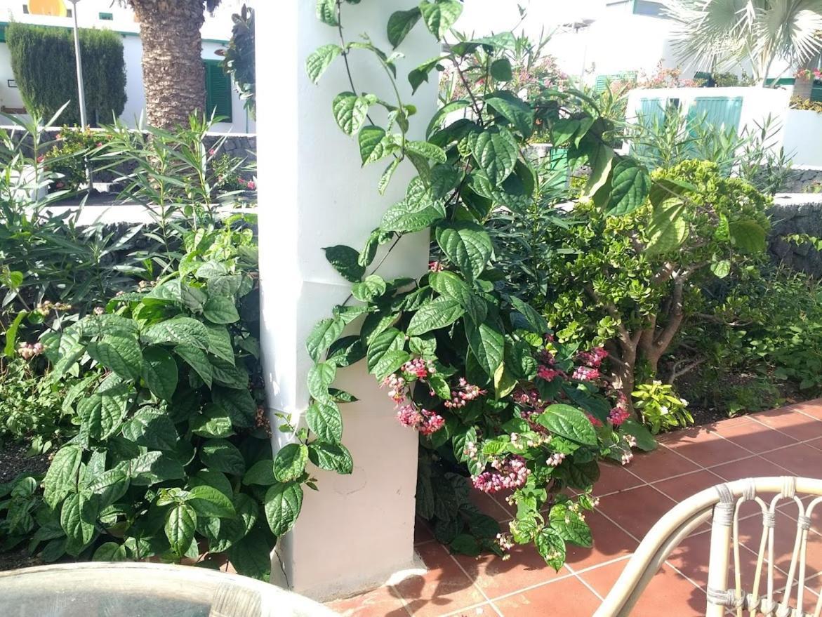 Willa Casa Maracuya Costa Teguise Zewnętrze zdjęcie
